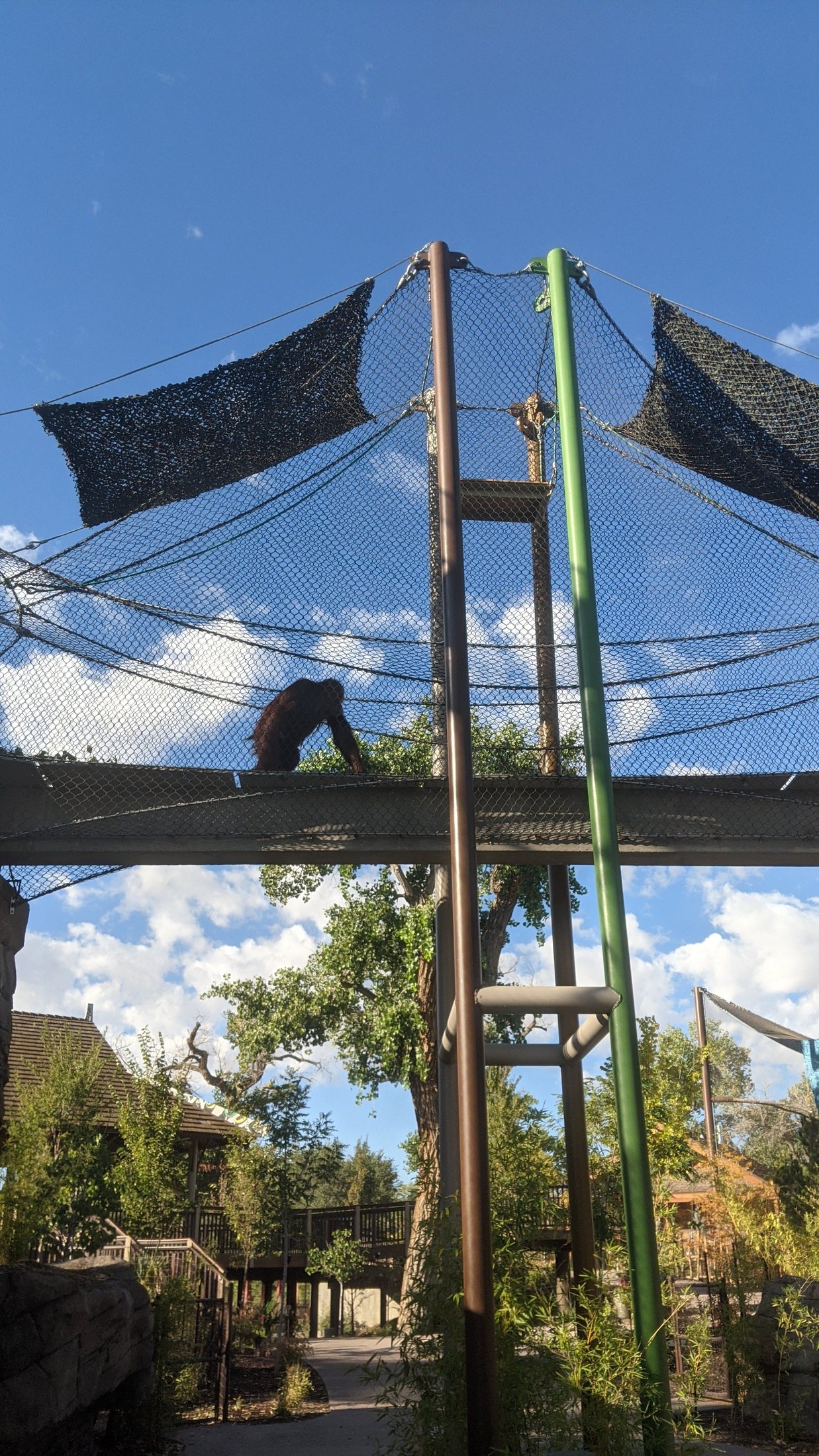 ABQ BioPark project view 4