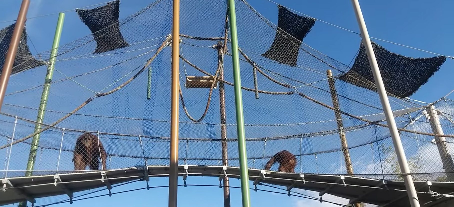 ABQ BioPark project view 5