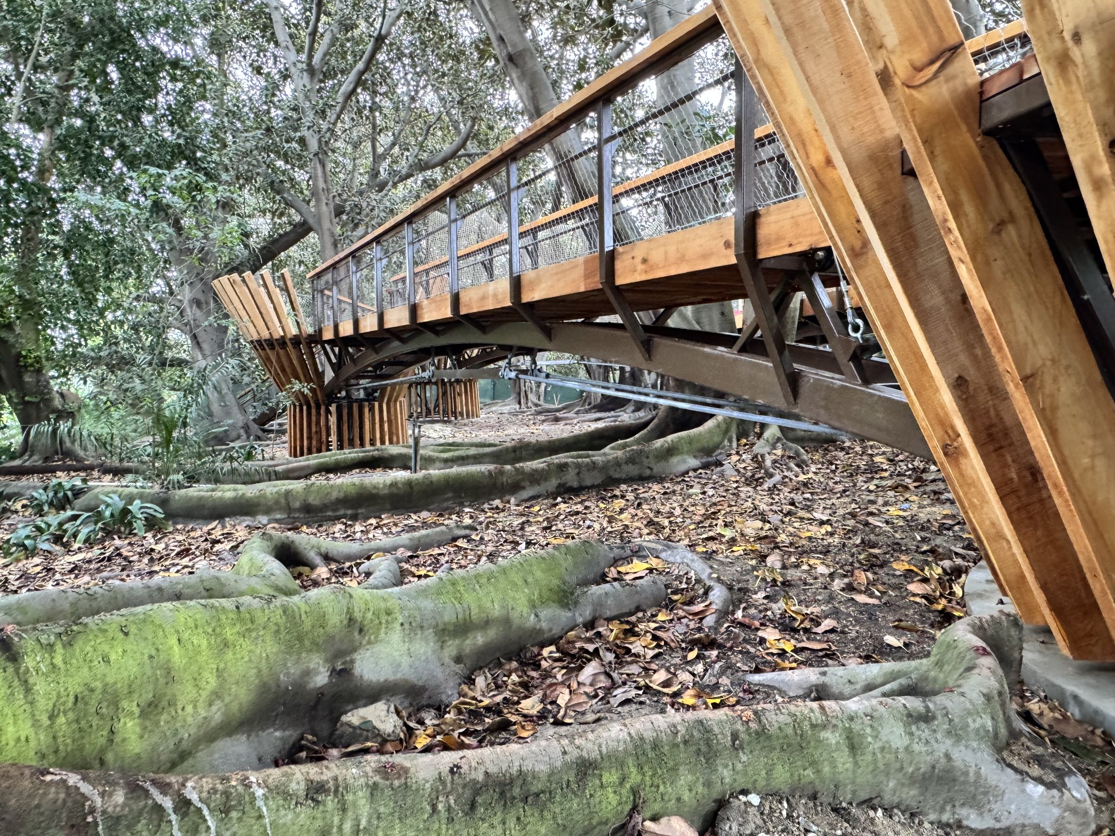 South Coast Botanic Garden project view 7