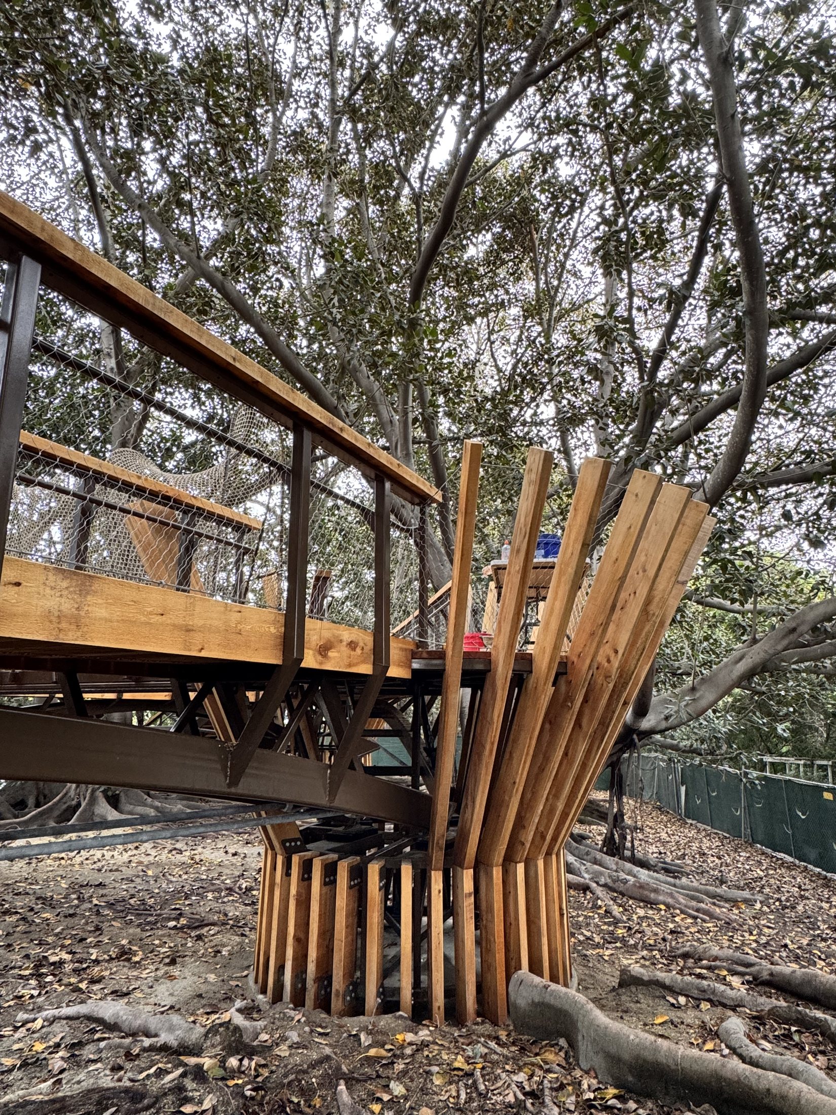South Coast Botanic Garden project view 13