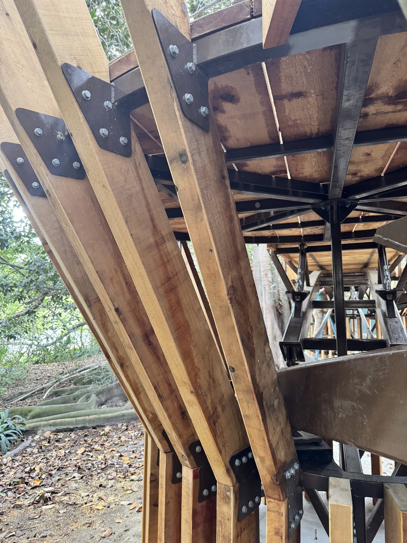 South Coast Botanic Garden project view 16