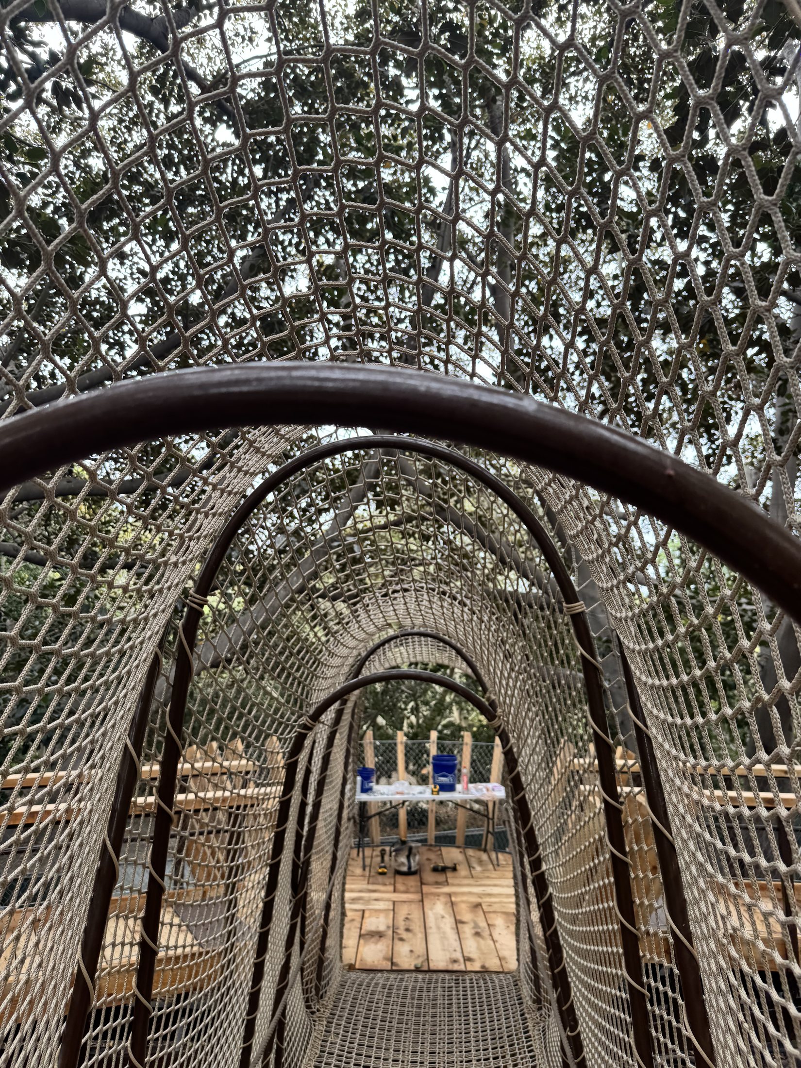 South Coast Botanic Garden project view 17