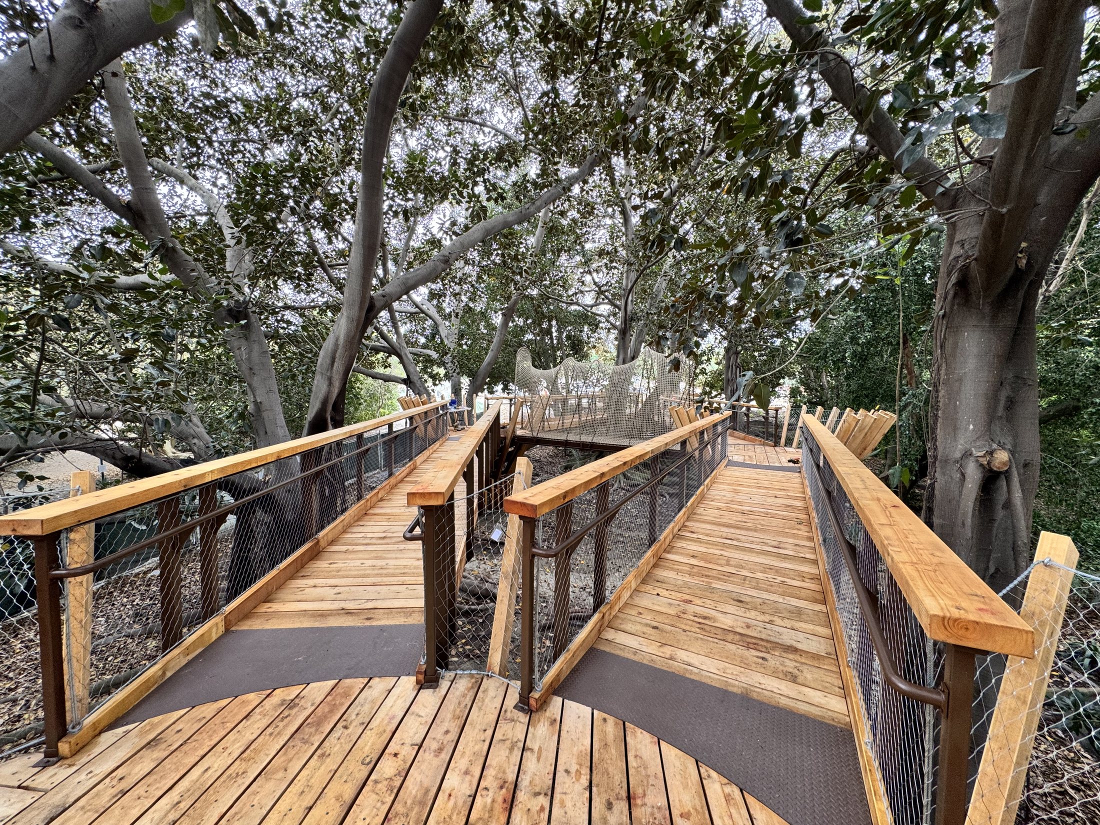 South Coast Botanic Garden project view 19