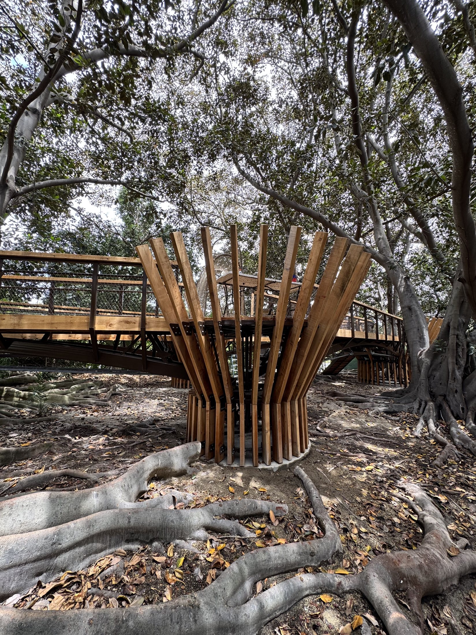South Coast Botanic Garden project view 20