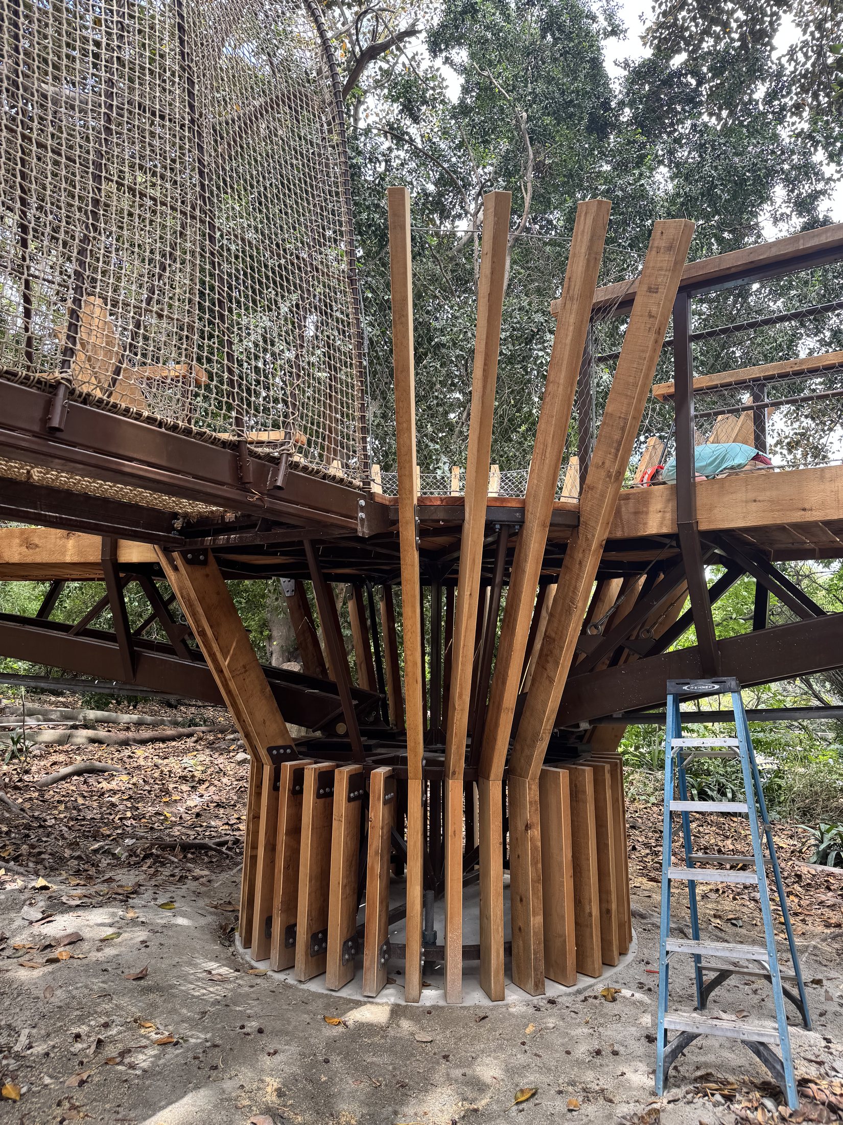 South Coast Botanic Garden project view 23
