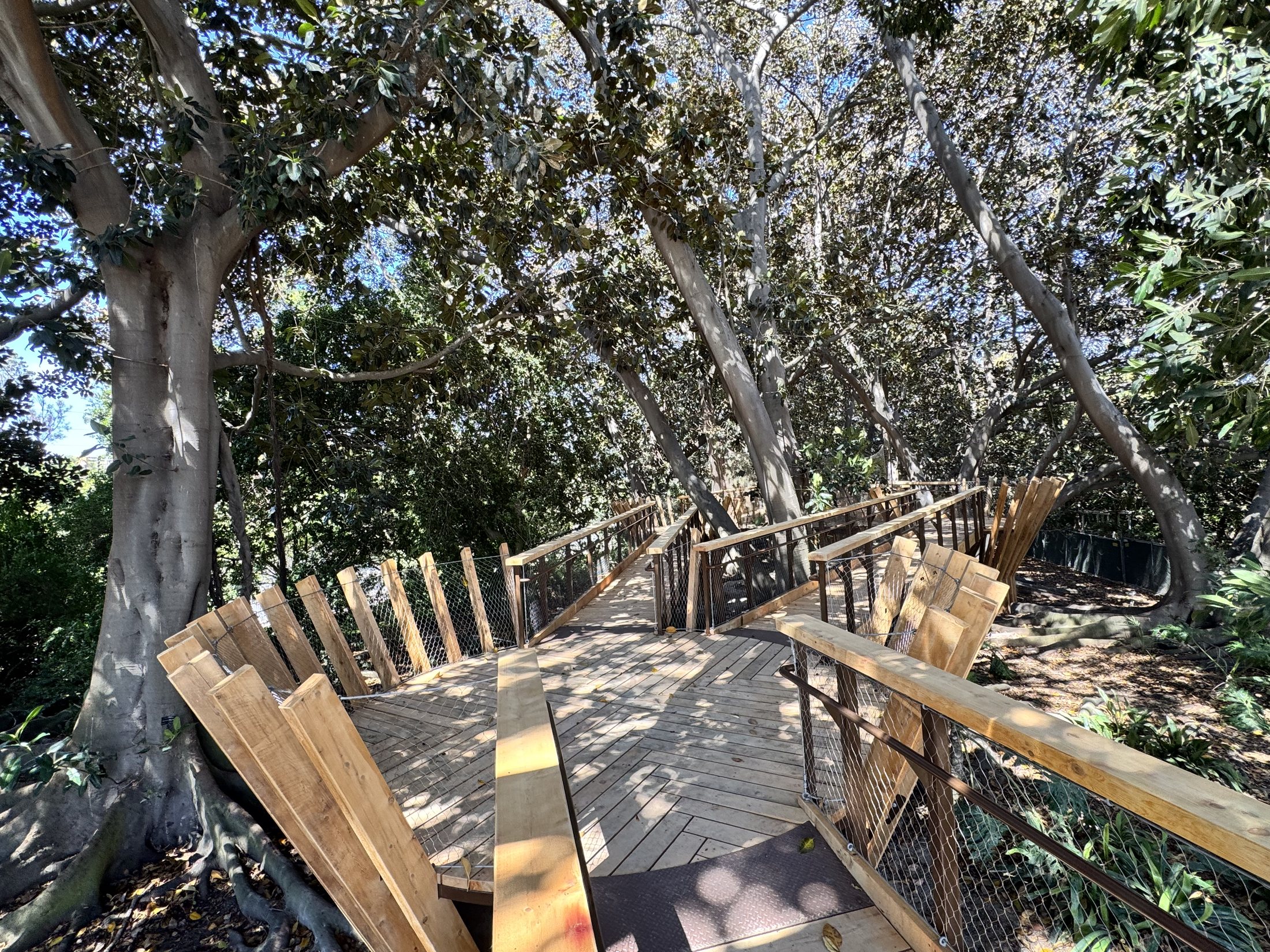South Coast Botanic Garden project view 27