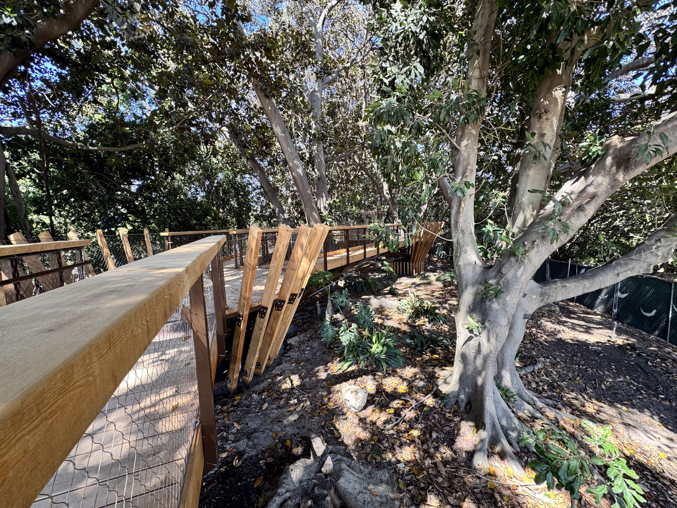 South Coast Botanic Garden project view 29