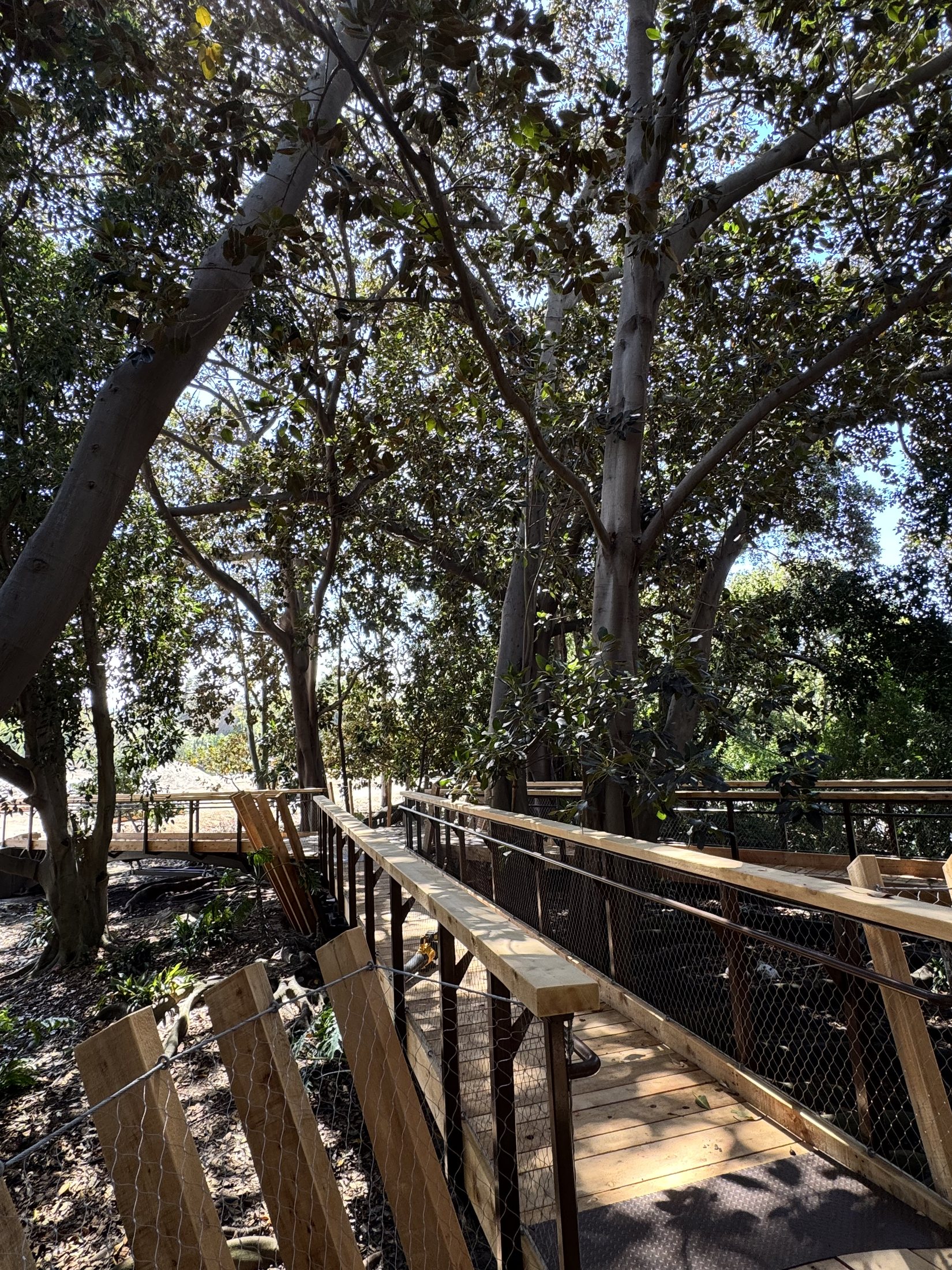 South Coast Botanic Garden project view 36
