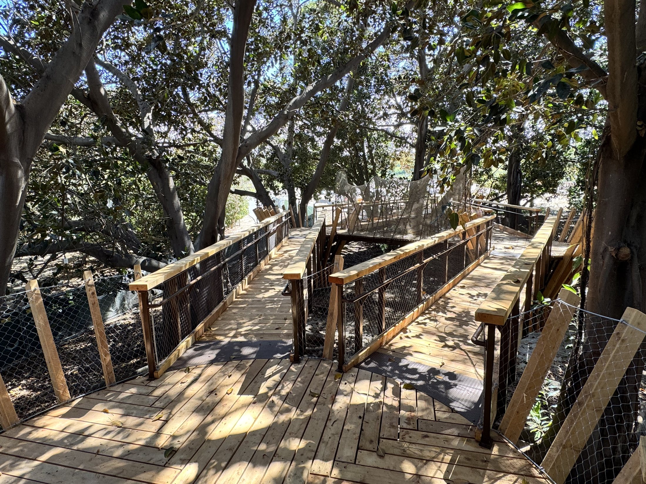 South Coast Botanic Garden project view 37