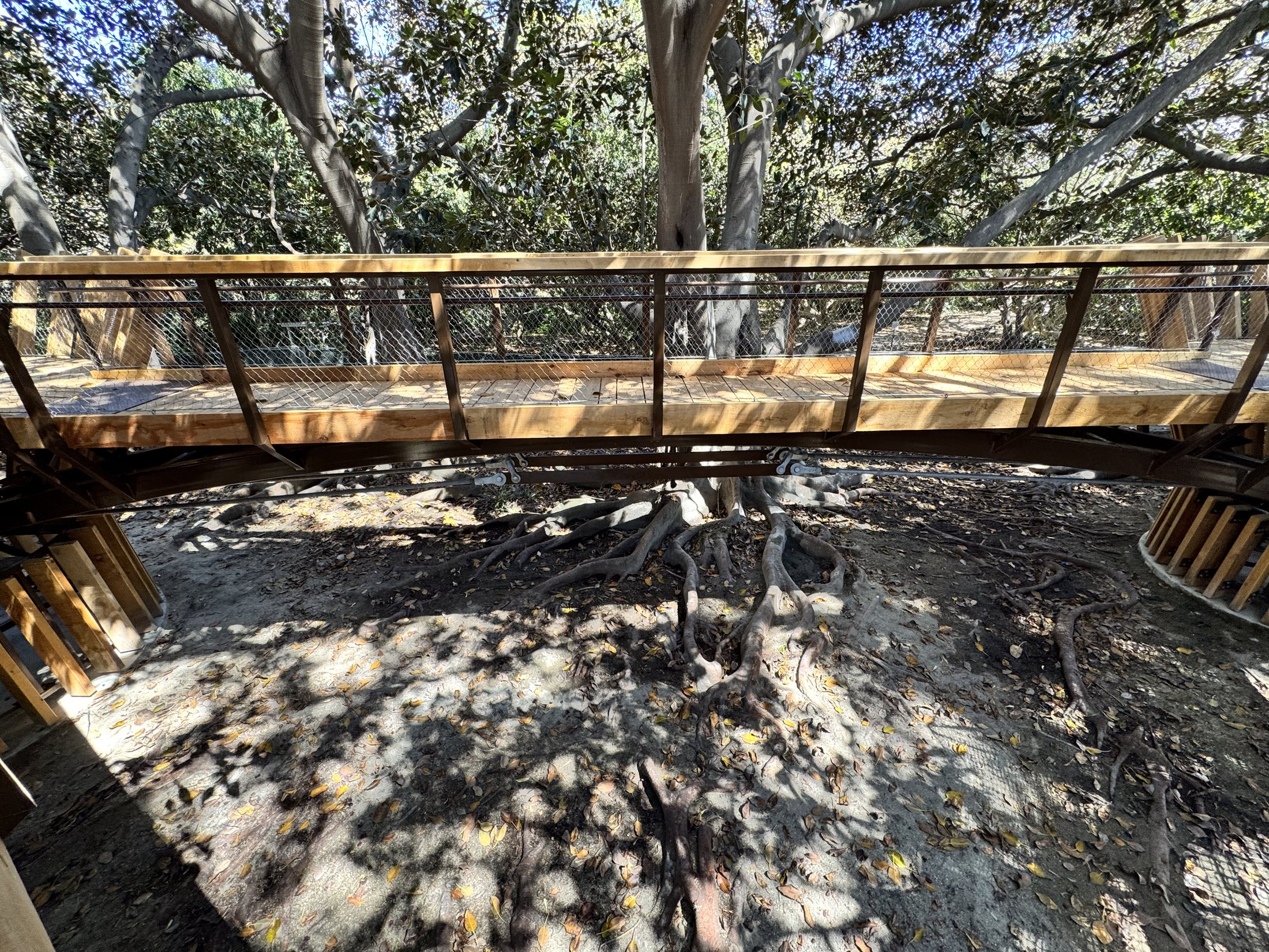 South Coast Botanic Garden project view 40
