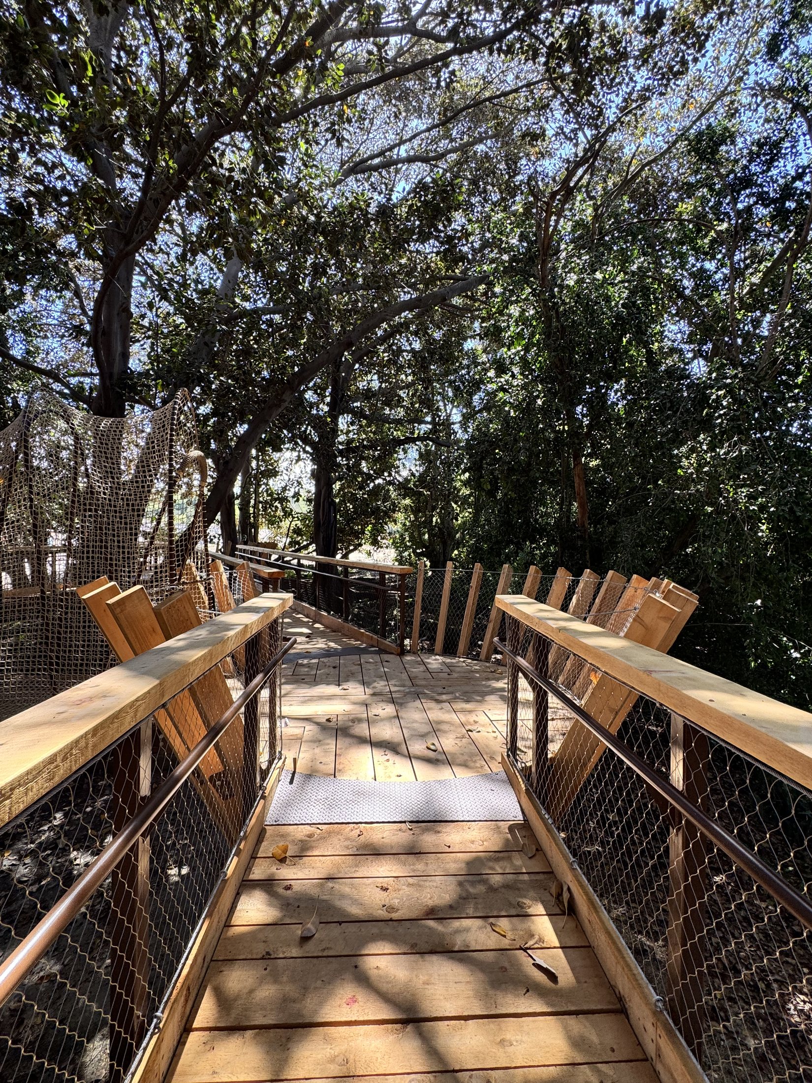 South Coast Botanic Garden project view 43