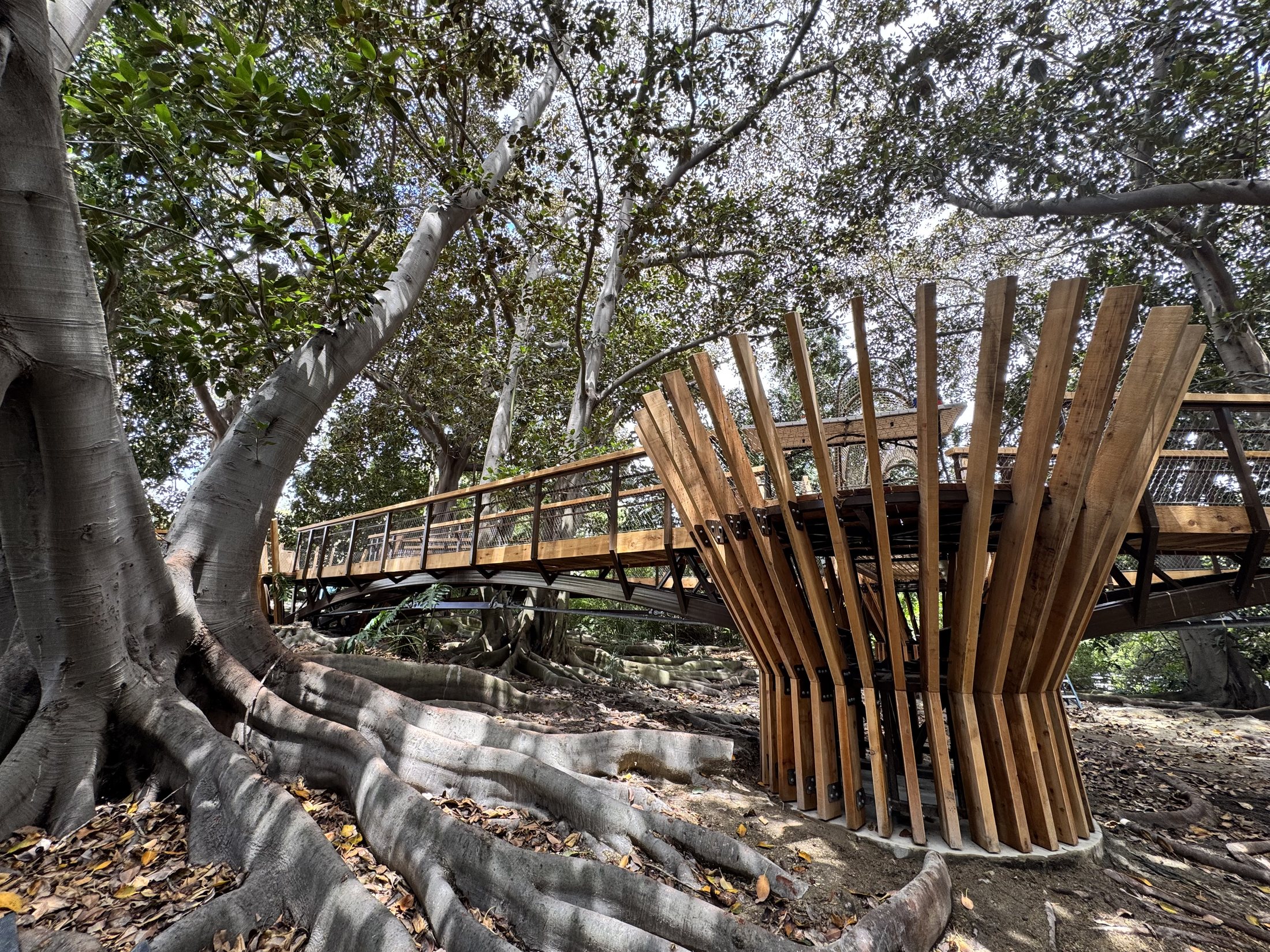 South Coast Botanic Garden project view 45