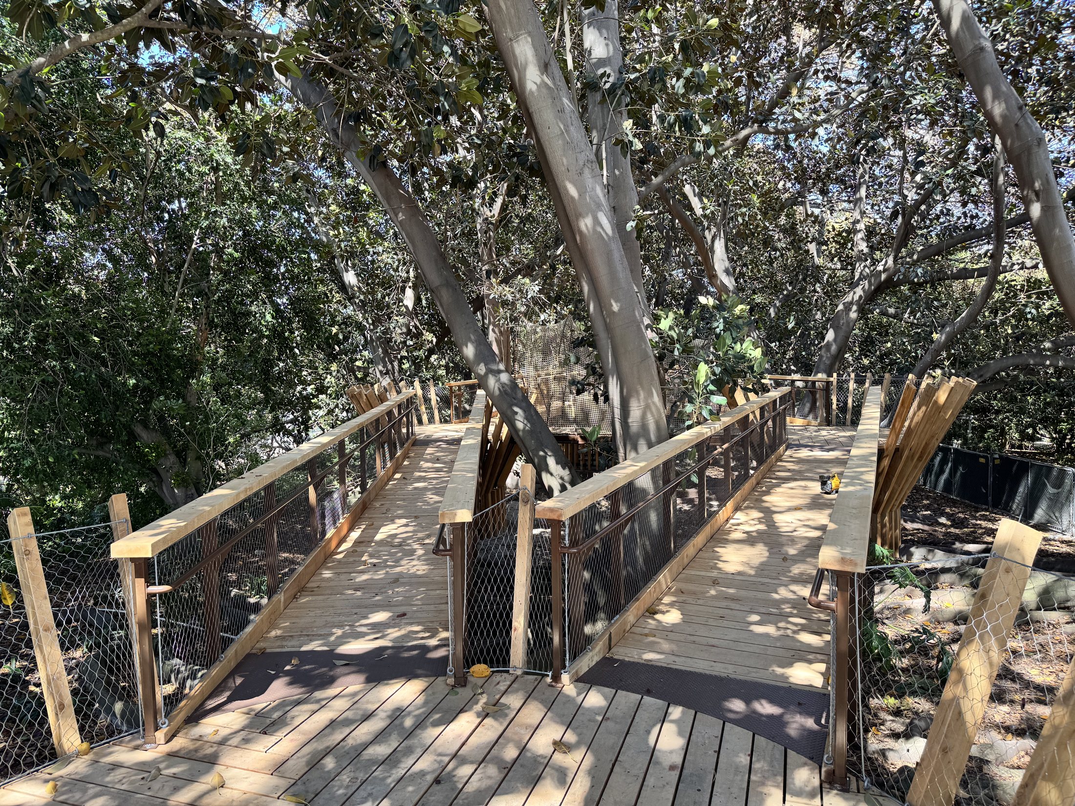 South Coast Botanic Garden project view 46